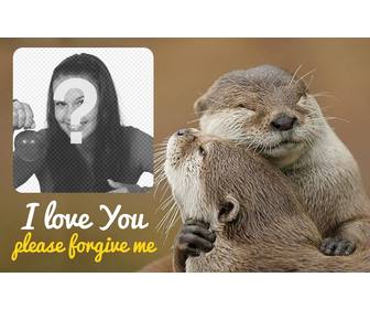 collage of forgiveness with two otters hugging