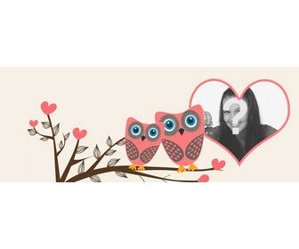love facebook cover photo to customize with two owls