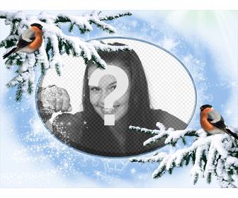 snowy photo frame for personalize with two birdies