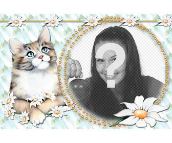 photomontage to put ur photo with cute kitty