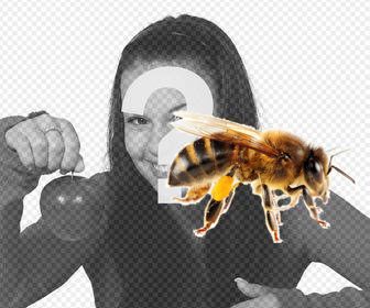 bee sticker that u can put on ur photos very easily