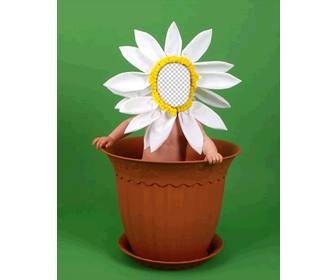 photomontage for children to disguise of flower in pot