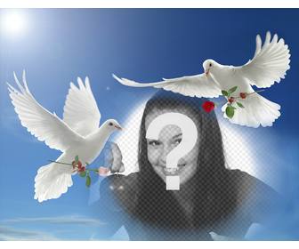 photo effect of peace with two white doves flying