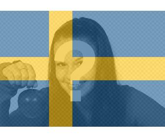 photo effect of the swedish flag for ur photo