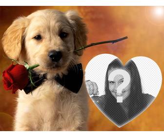 upload ur photo to this effect with gentle dog and rose