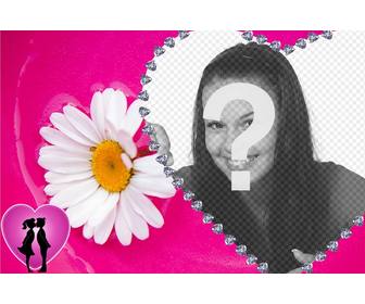 margarita and heart photo frame with pink background to put ur background image