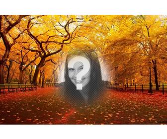 autumnal landscape of park where u can insert ur photo for free