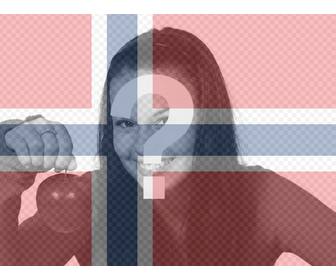 filter of norway flag for ur pictures for free