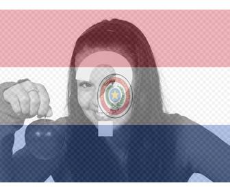 images of the paraguayan flag to put ur photo