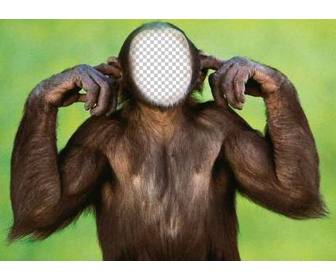 photomontage of monkey that does not listen to edit with ur photo