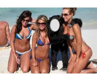 create this photomontage to be monkey with three girls in swimsuit