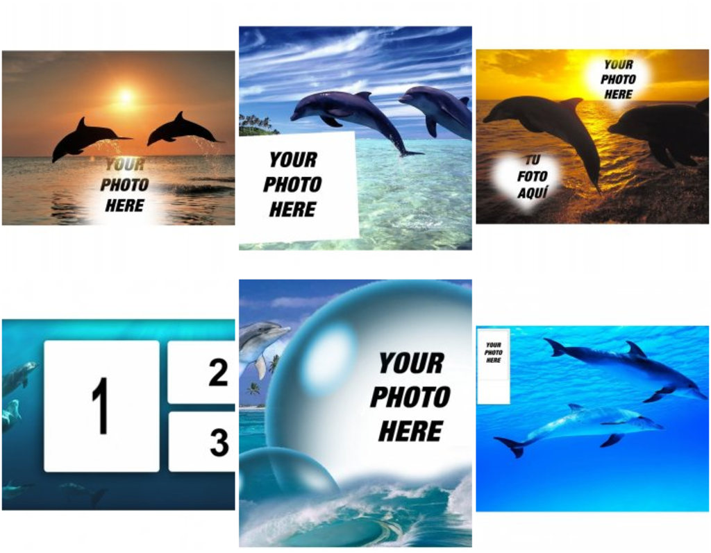 Frames for photos of dolphins and sea
