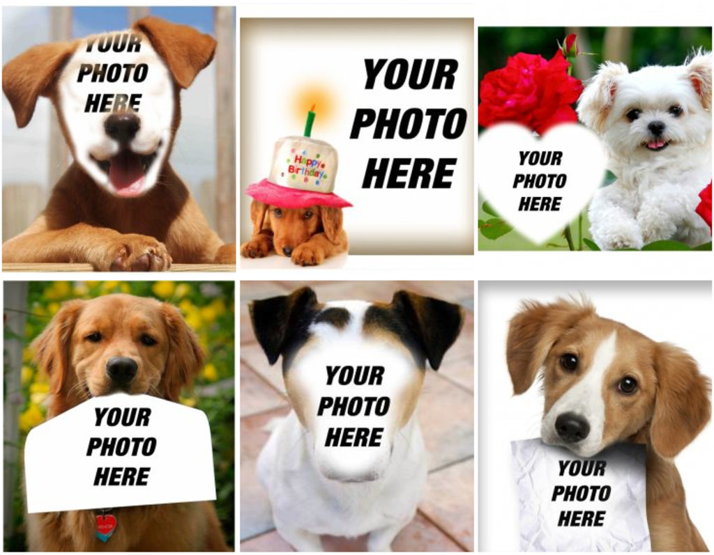 Photo effects of dogs to edit with your favorite photo for free