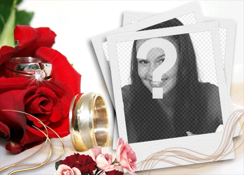 Agreement to include your photo in a Christmas context, by red roses and gold, typical colors of..