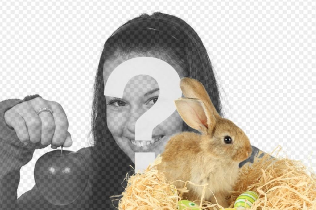Photomontage with a rabbit and easter eggs to add to your photos online and..