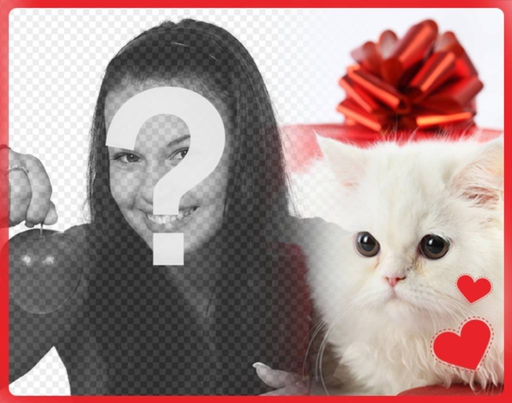 Romantic postcard with white persian kitten with hearts in front of a gift box and the photo you upload..