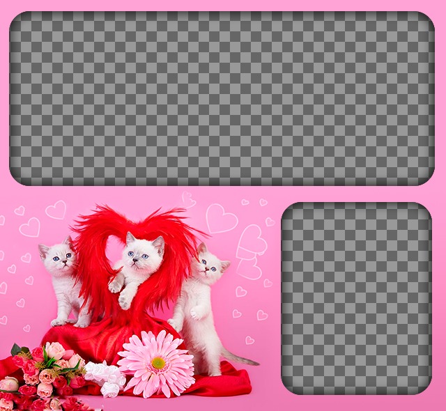 Romantic photomontage with kittens and hearts with a pink background to place two images of love. ..