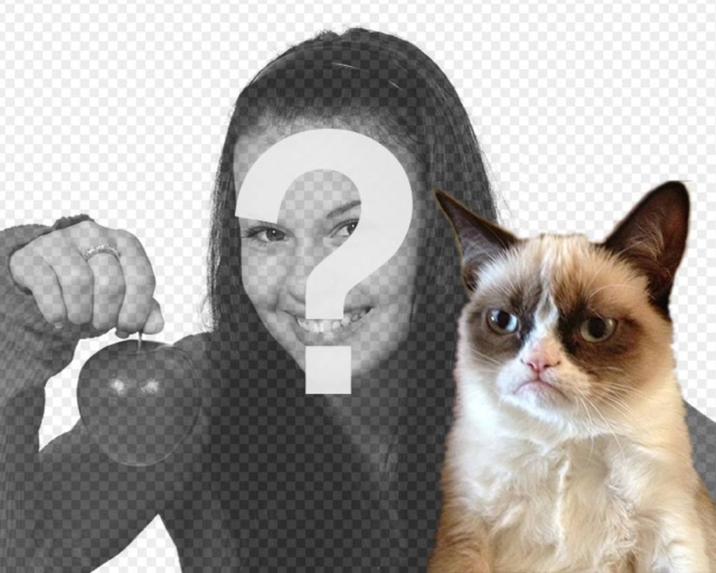Photomontage with Grumpry cat, meme that has become famous all over the..