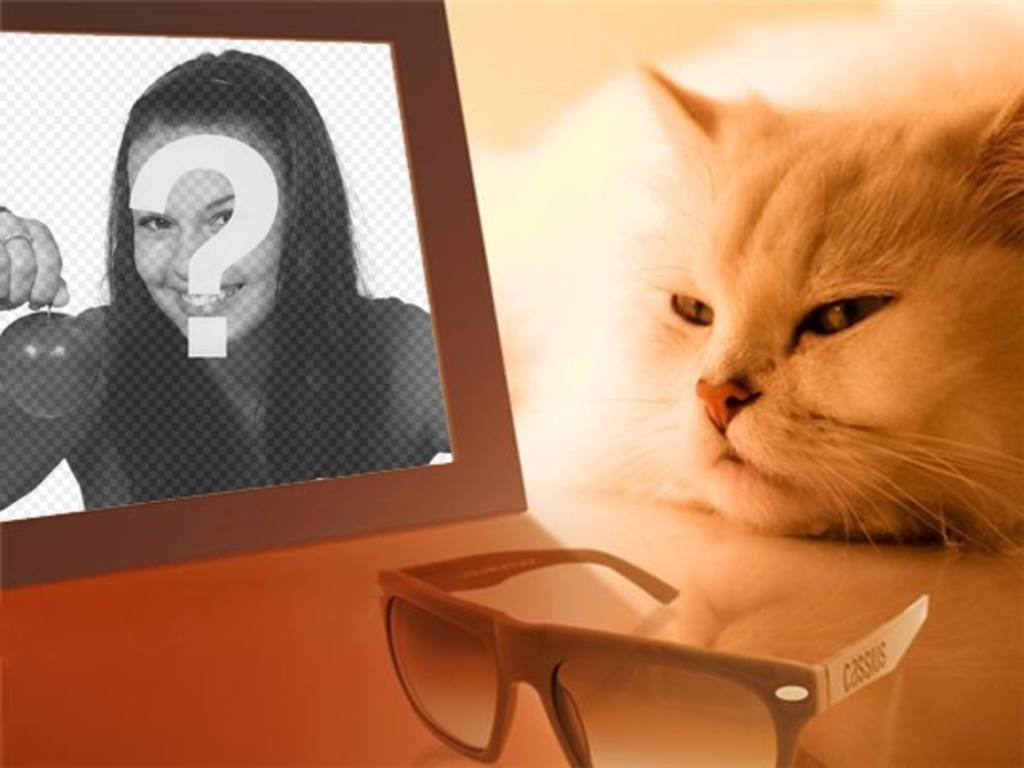 Photomontage of a bored cat seeing your photo in which you put the image you..