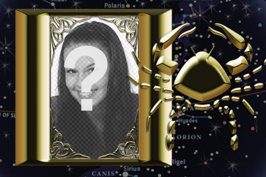 You can add your image in the frame of the zodiac sign..