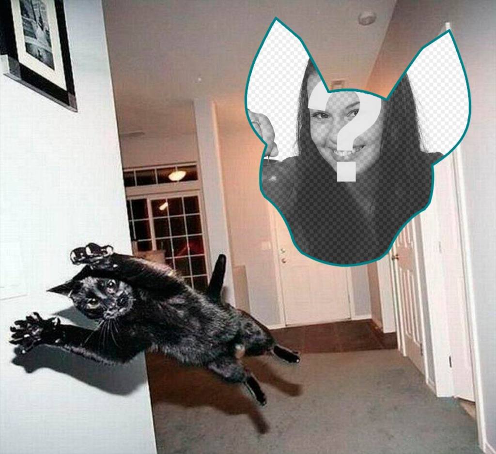 Photomontage with a cat jumping as if it were an explosion. ..