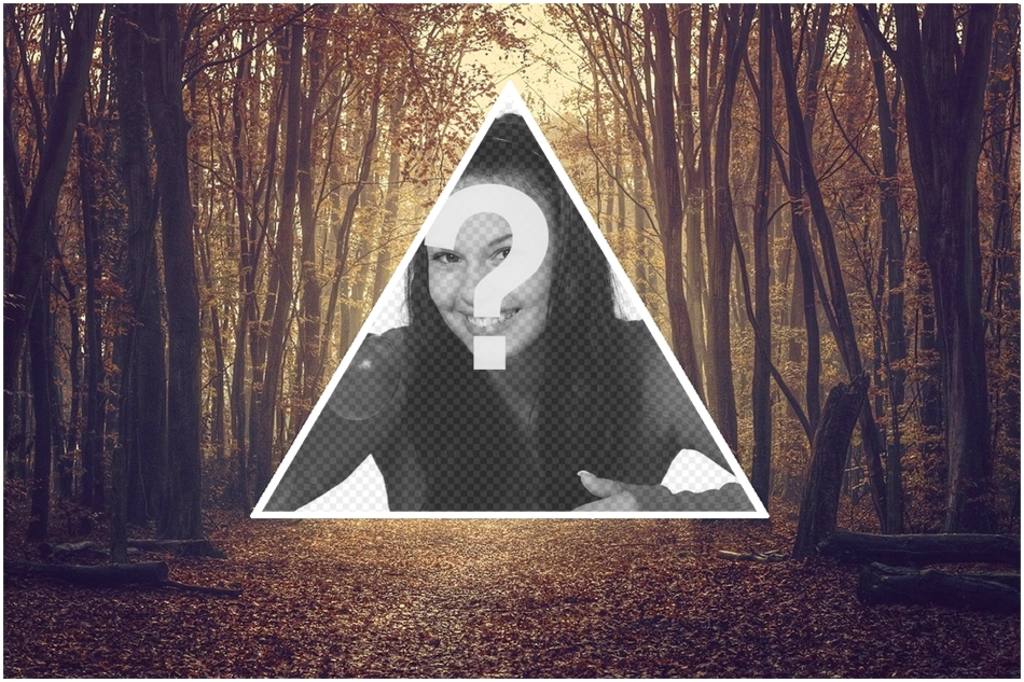 Background collage of triangular hipster shape on a background of trees. ..