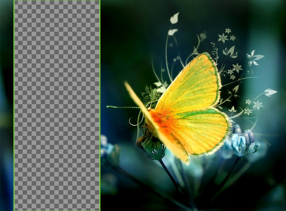 Wallpaper for two photos with a yellow butterfly perched on a flower. ..