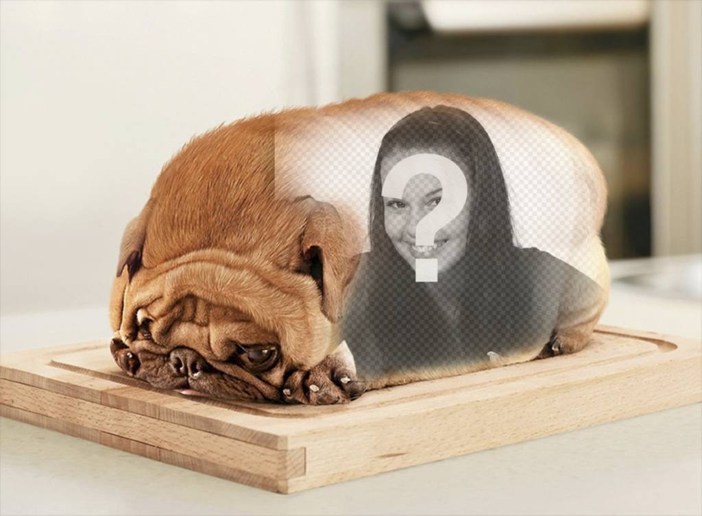 Bread shaped dog with to put your photographs over the skin...