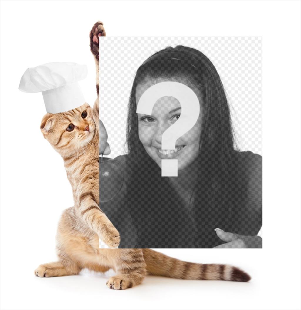 Photomontage with a cat dressed as a chef holding your picture. ..