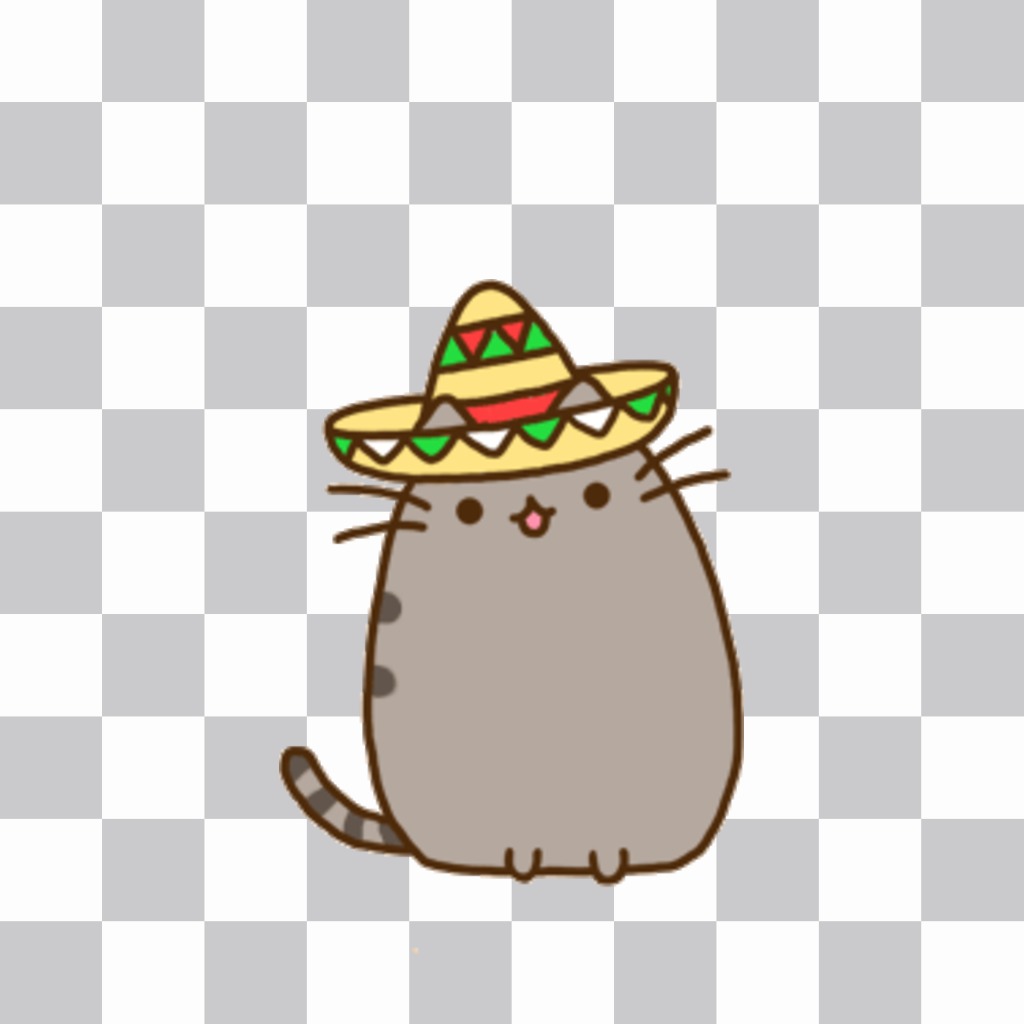 Decorate your photos with a fat kitty with a mariachi hat. ..