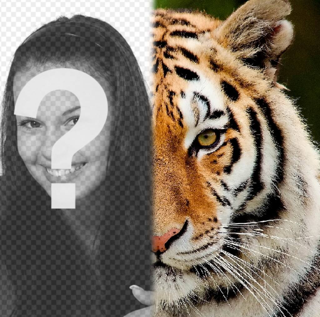 Photomontage to have half of your face like a tiger. ..