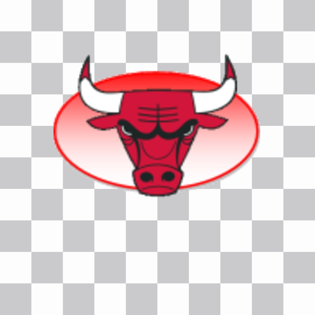 Sticker with the logo of the Chicago Bulls. ..