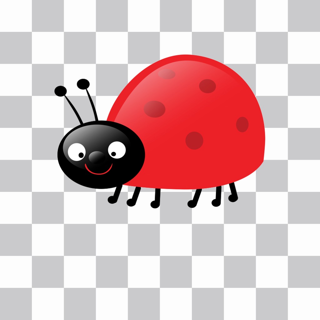 Sticker of a ladybug ..