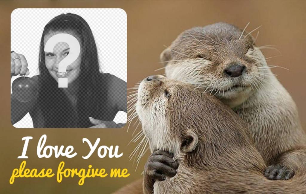 Collage of forgiveness with two otters hugging ..