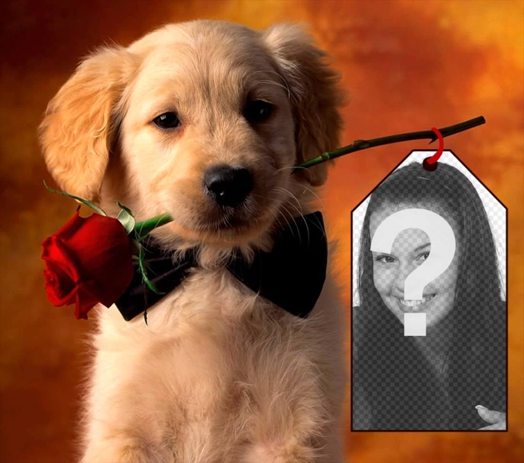 Photomontage with a puppy to put your photo in a card held by the puppy. ..