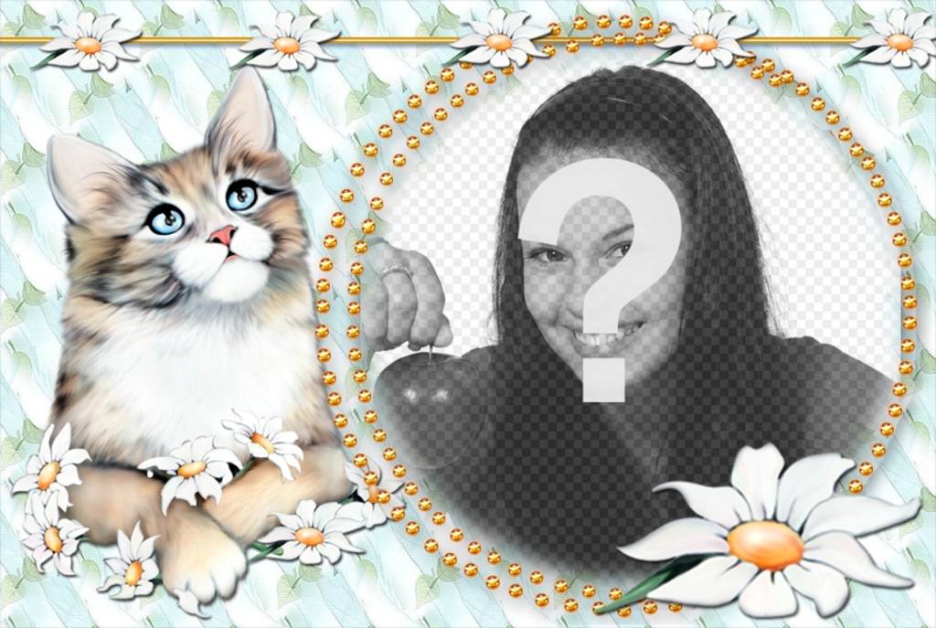 Photomontage to put your photo with a cute kitty. ..