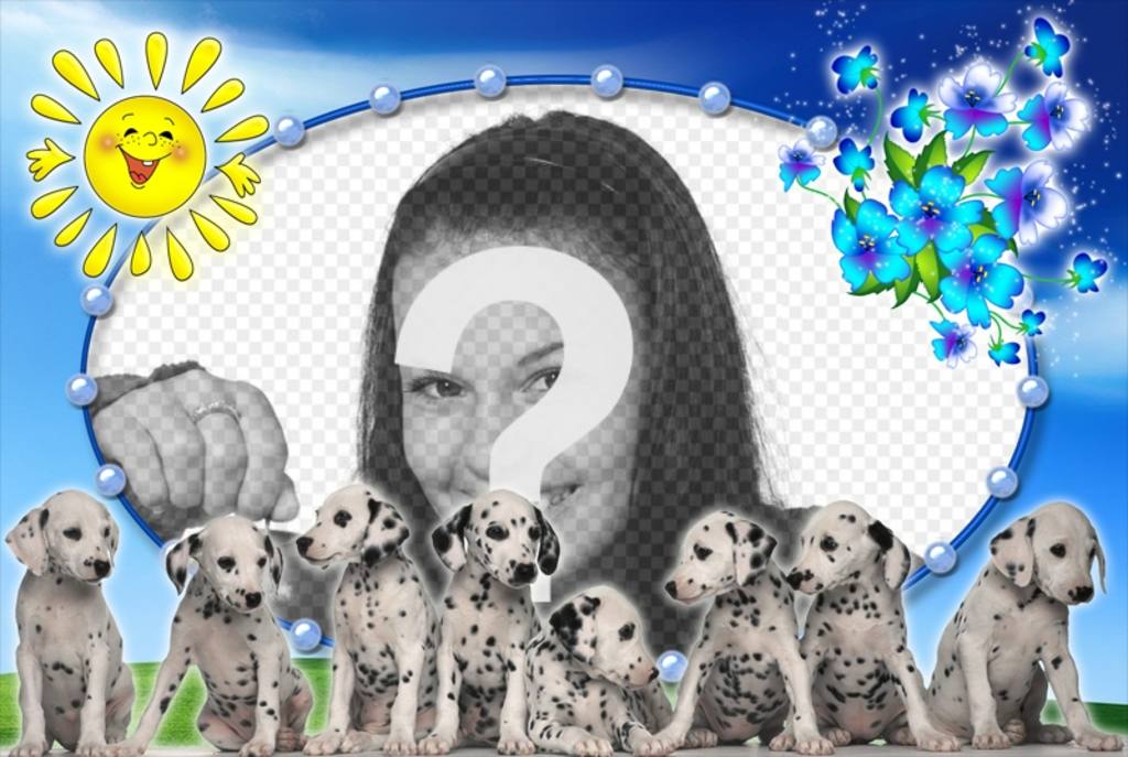 Photomontage with Dalmatian puppies and photo background. ..