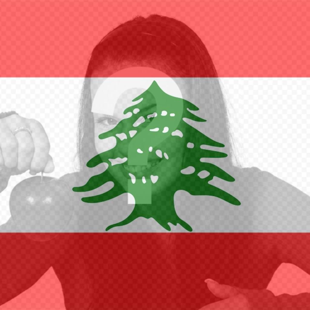 Flag of Lebanon to put on your profile picture social..