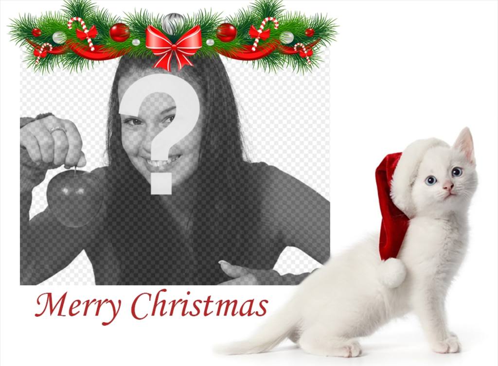 Christmas photo effect with a kitten to upload your photo ..