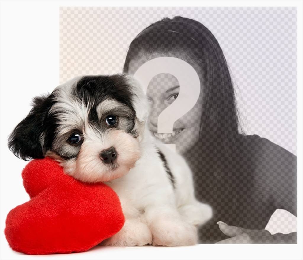 Photo effect of a puppy with a heart for your photo ..