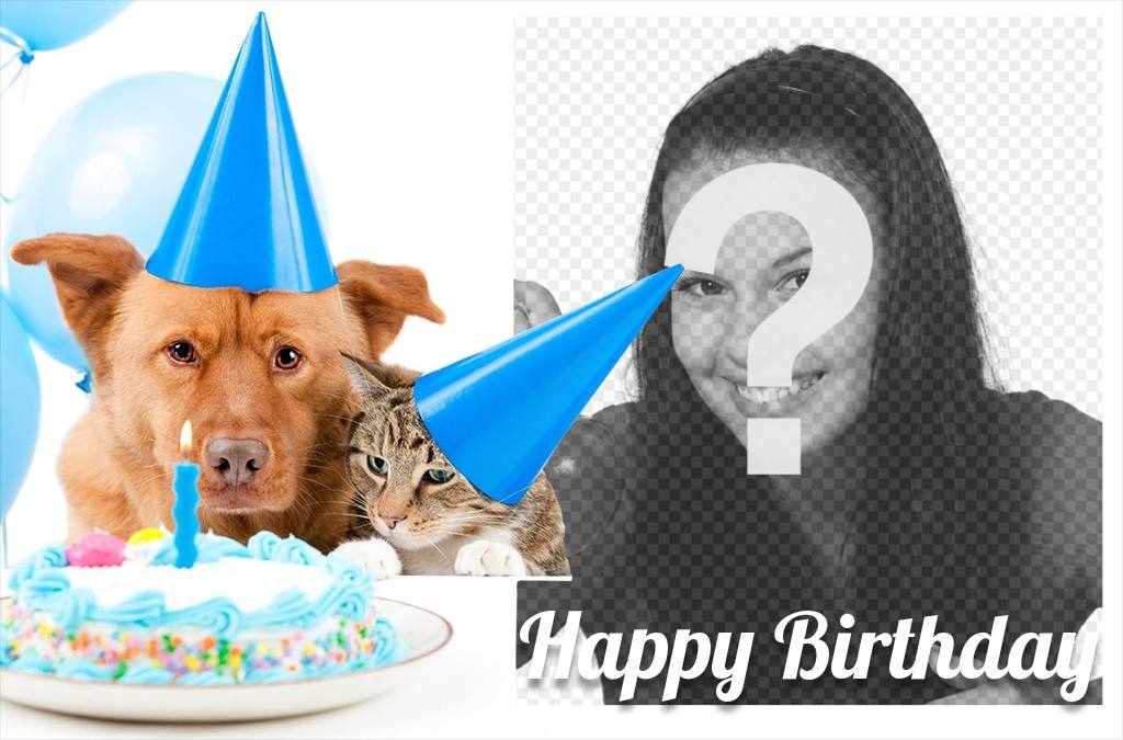 Sweet birthday card with a dog and a cat for a picture ..
