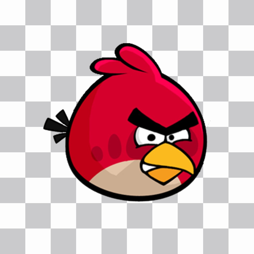 Big Bird to put over  your photos if you like Angry Birds ..