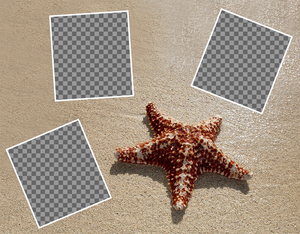 Collage to edit with three pictures with a starfish and for free ..
