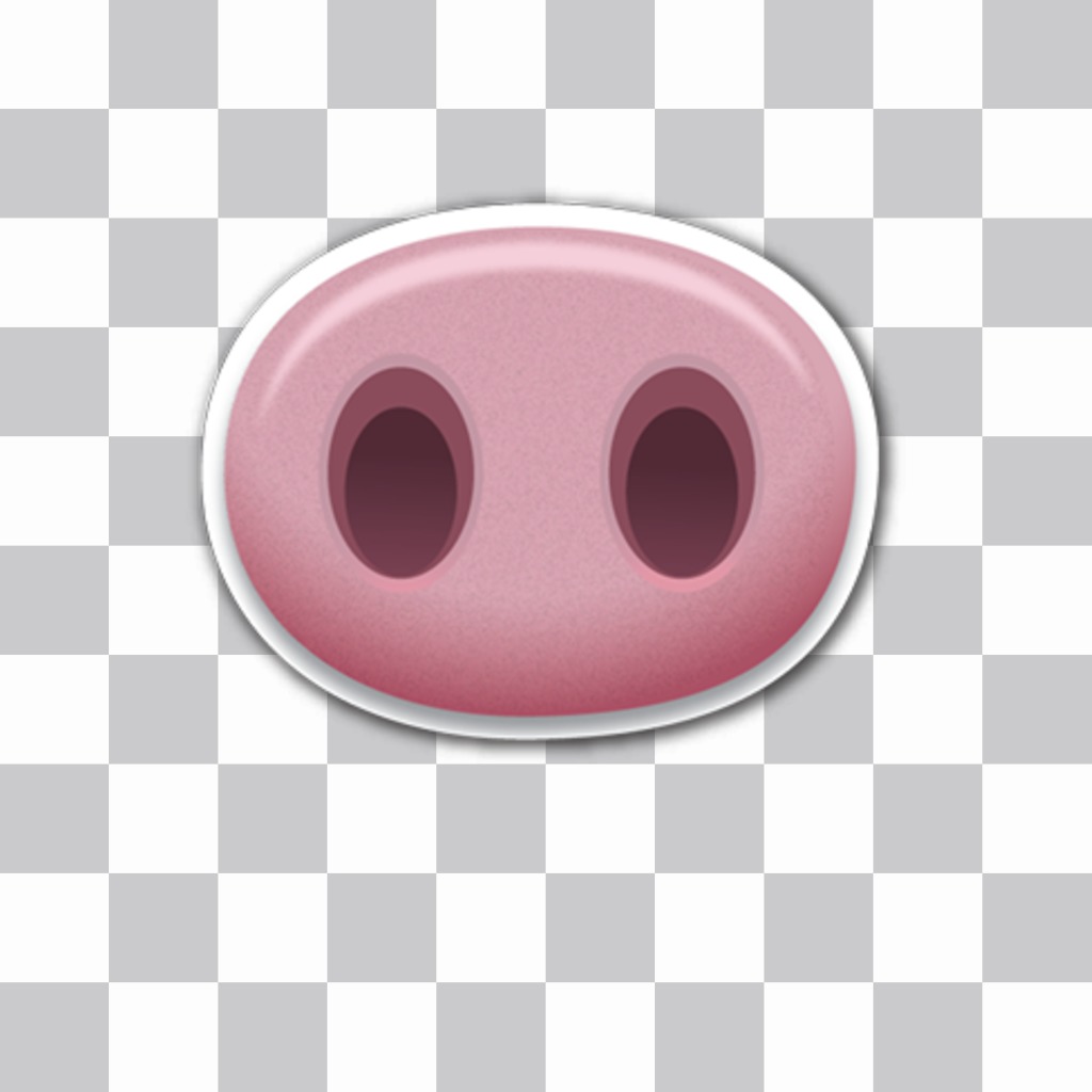 Pig nose to paste in your images effect online ..