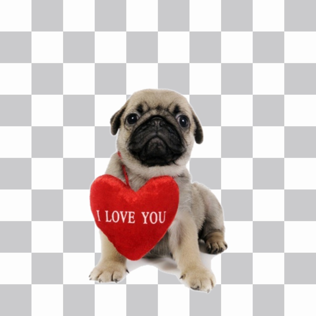 Photo effect of a puppy with a heart to add on your photos for free ..
