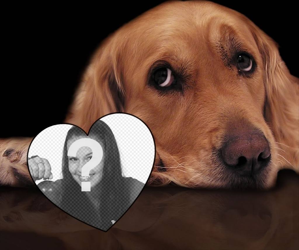 Photo effect of love with a tender dog to add your photo inside a heart ..