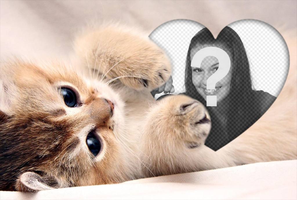 Cute photo effect of a kitten hugging a heart to add your photo ..