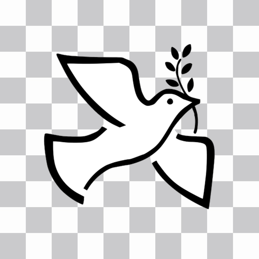 Sticker online to paste the white dove of peace in your pictures ..