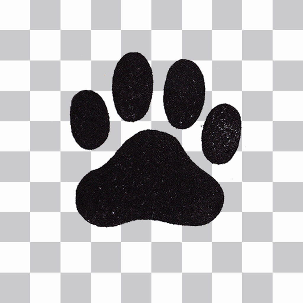 Photo effect to add a dog footprint on your photos and decorate ..