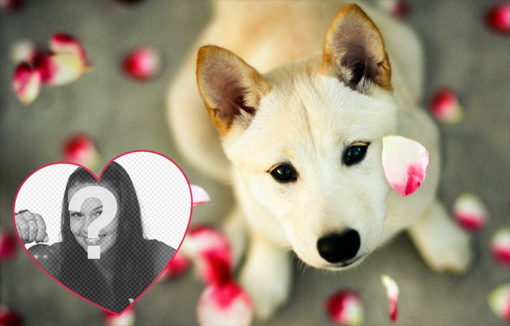 Cute photo effect to add your photo in a heart with a puppy ..